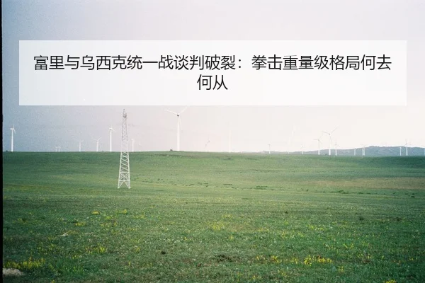富里与乌西克统一战谈判破裂：拳击重量级格局何去何从