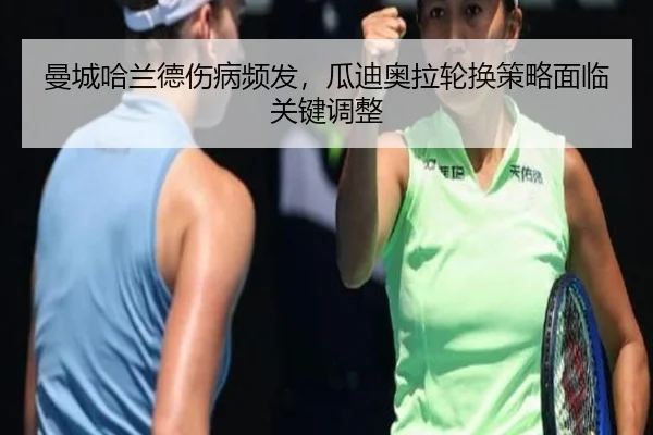man-cheng-ha-lan-de-shang-bing-pin-fa-gua-di-ao-la-lun-huan-ce-lve-mian-lin-guan-jian-tiao-zheng-2-758.jpg
