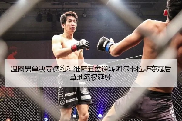 温网男单决赛德约科维奇五盘逆转阿尔卡拉斯夺冠后草地霸权延续 - hth